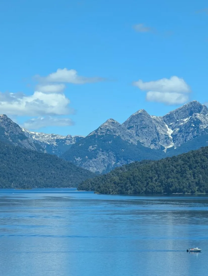 Lago y bosque patagónico en un día claro